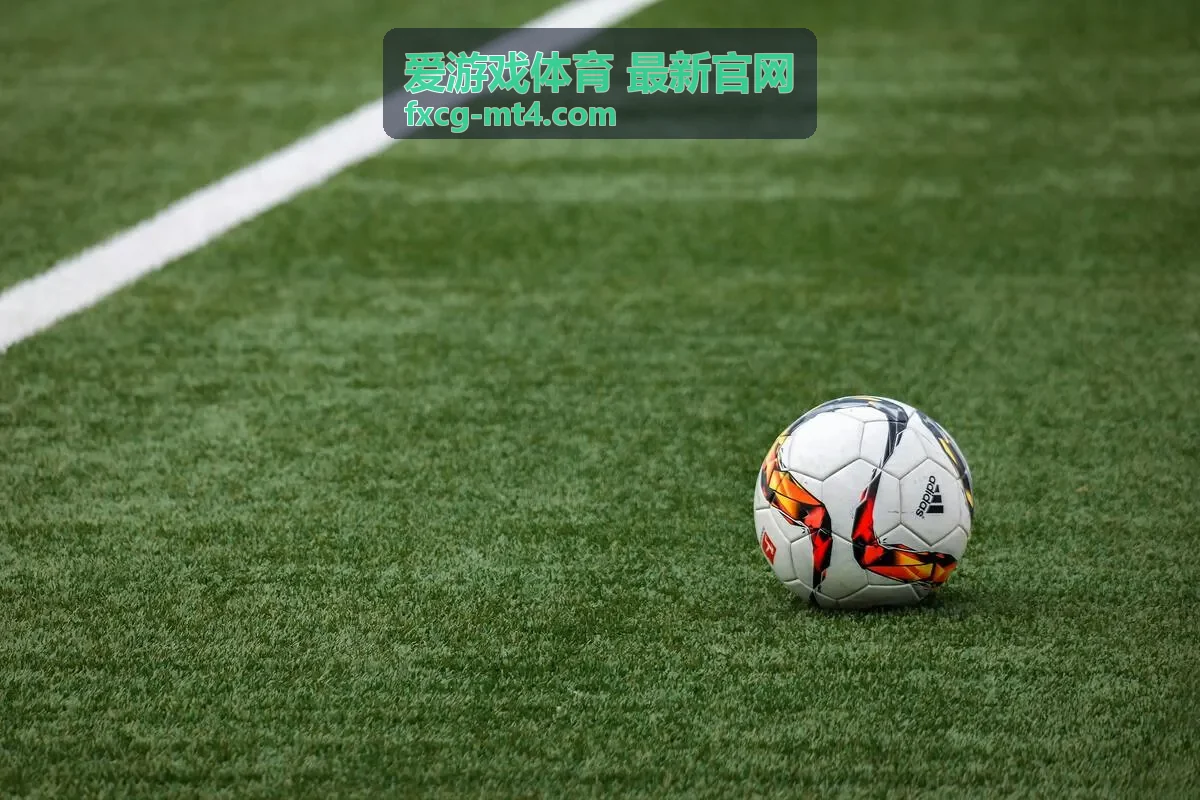 爱游戏体育最新官网会员等级计划栏目介绍