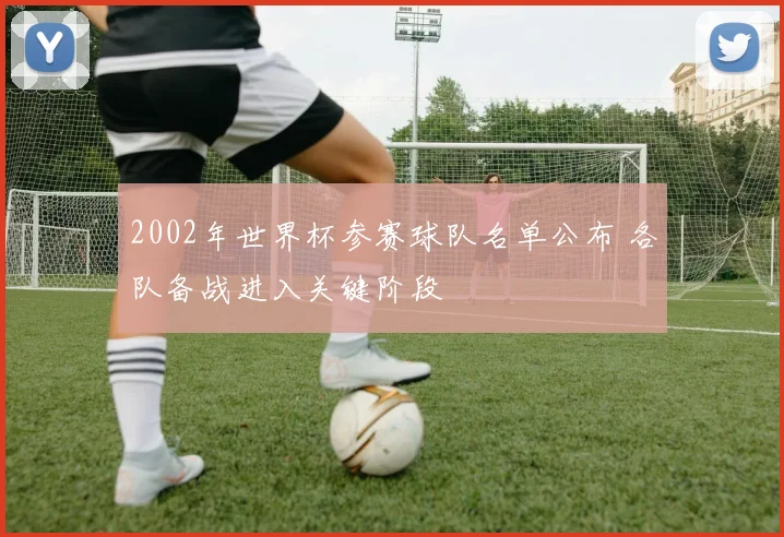 2002年世界杯参赛球队名单公布 各队备战进入关键阶段
