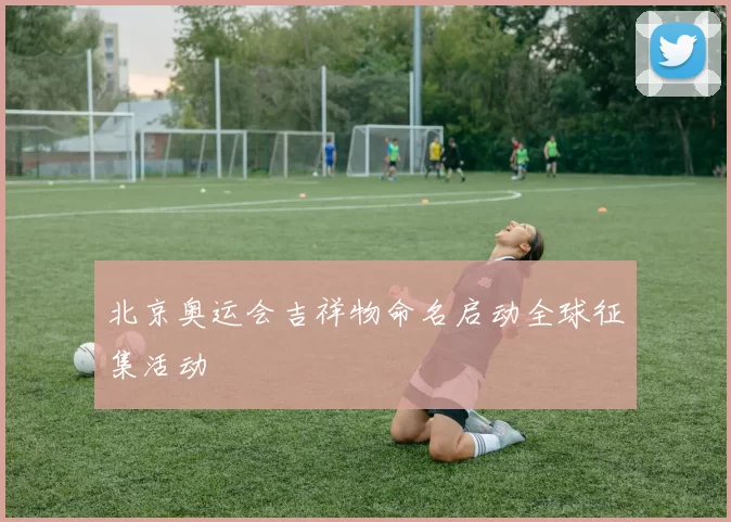 北京奥运会吉祥物命名启动全球征集活动