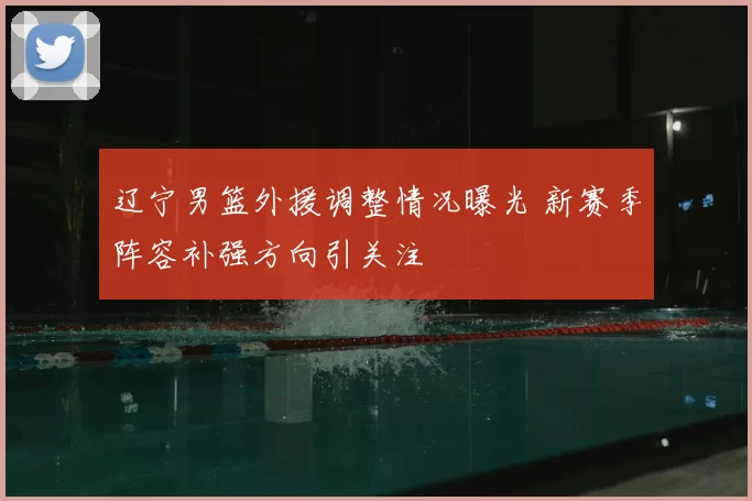 辽宁男篮外援调整情况曝光 新赛季阵容补强方向引关注
