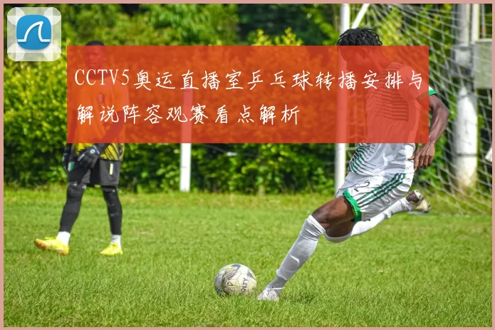 CCTV5奥运直播室乒乓球转播安排与解说阵容观赛看点解析