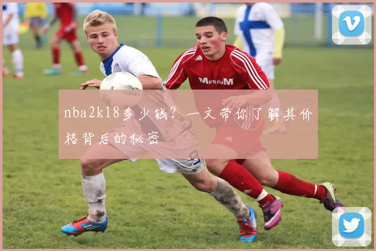 nba2k18多少钱？一文带你了解其价格背后的秘密