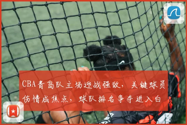 CBA青岛队主场迎战强敌，关键球员伤情成焦点，球队排名争夺进入白热化